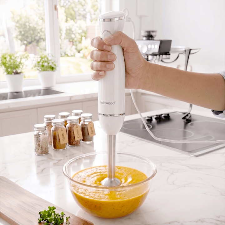  Mixeur plongeant blanc-TMP-660 alternative